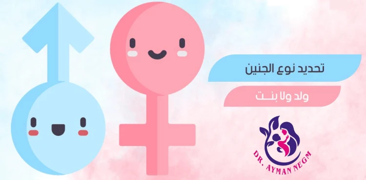 نسبة نجاح الحقن المجهري تحديد نوع الجنين