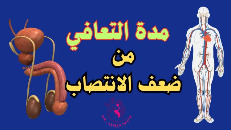 مدة التعافي من ضعف الانتصاب المفاجئ