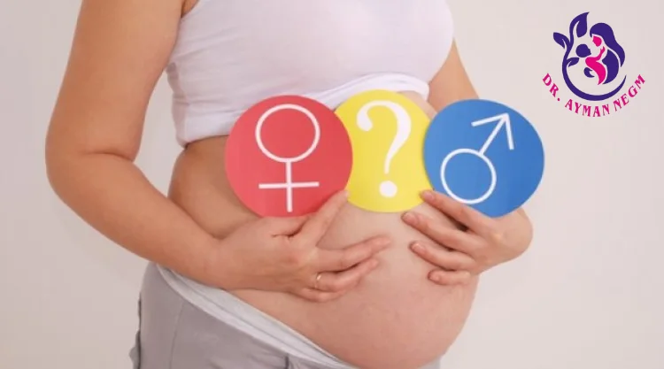 تاريخ الحمل ونوع الجنين: الربط بين الطفلين