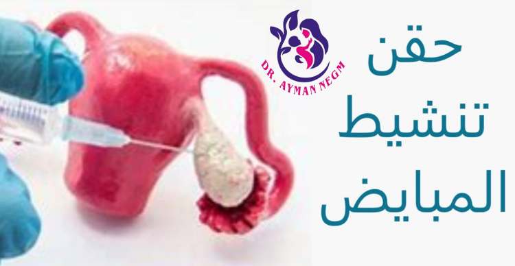 تنشيط المبيضين