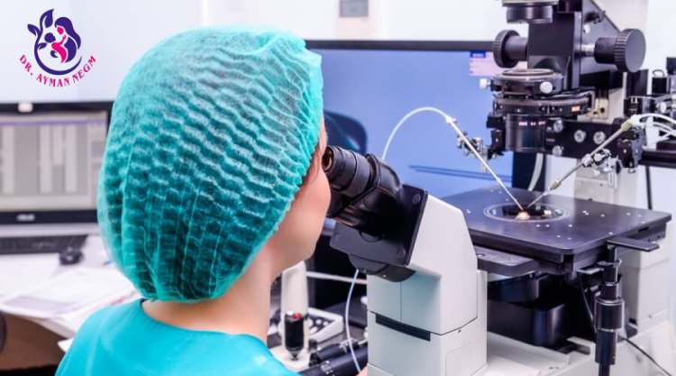 كم تستغرق عملية الحقن المجهري