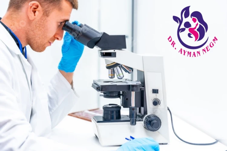 معايير اختيار افضل دكتور حقن مجهري في مصر