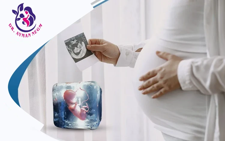 تجميد الأجنة في الحقن المجهري