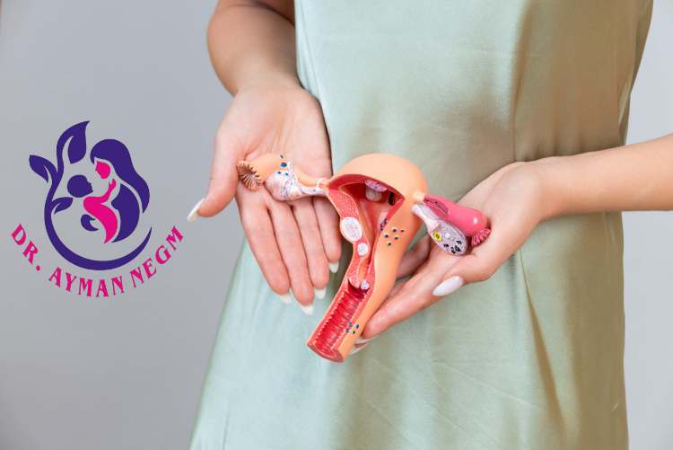 كي بطانة الرحم