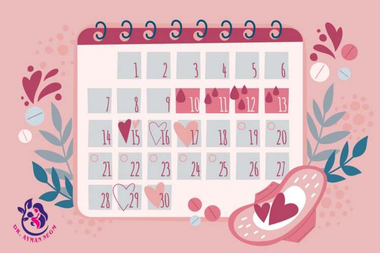 العوامل المؤثرة في توقيت الإباضة