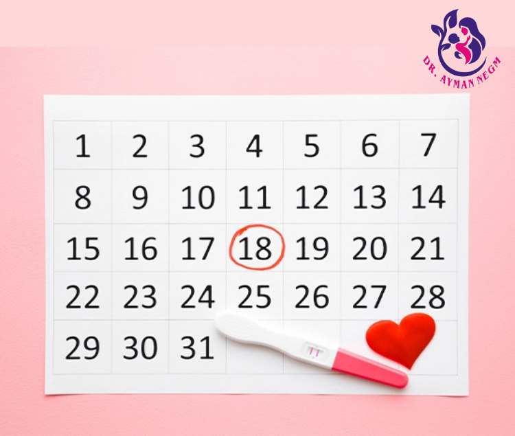 جدول ايام التبويض لحدوث الحمل