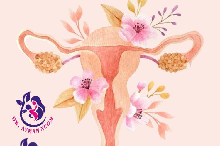 علاج ضعف مخزون المبيض