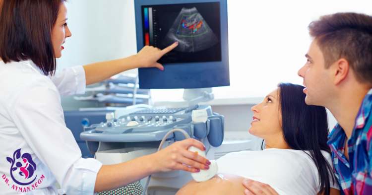  متى يتم تحديد نوع الجنين في الرحم