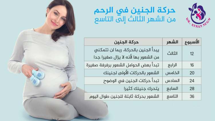 معرفة نوع الجنين من حركته في الشهر السابع