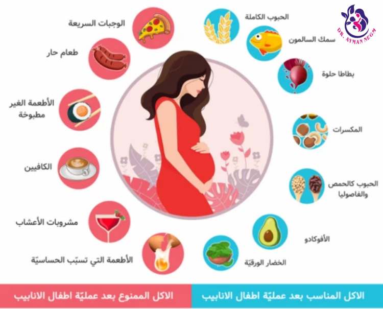 الأطعمة التي تساعد على ثبات الأجنة